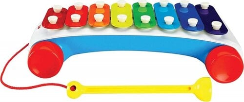 Žaislinis ksilofonas Fisher Price, CMY09 kaina ir informacija | Lavinamieji žaislai | pigu.lt