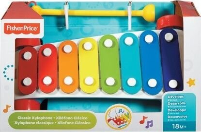 Žaislinis ksilofonas Fisher Price, CMY09 цена и информация | Lavinamieji žaislai | pigu.lt