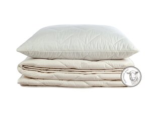 Одеяло Comco Superwash, 220х200 см цена и информация | Одеяла | pigu.lt