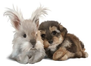 Vaikiškas interjero lipdukas Zuikis ir šuniukas kaina ir informacija | Interjero lipdukai | pigu.lt