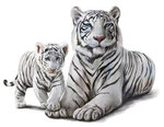 Vaikiškas interjero lipdukas Baltieji tigrai