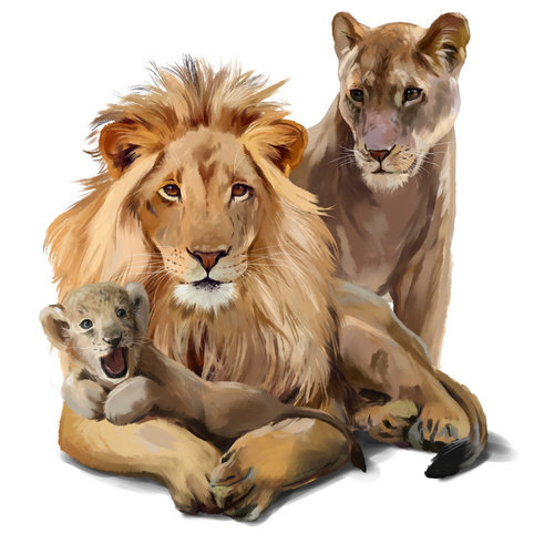 Vaikiškas interjero lipdukas Liūtų šeima цена и информация | Interjero lipdukai | pigu.lt