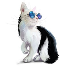 Vaikiškas interjero lipdukas Katinas su akiniais kaina ir informacija | Interjero lipdukai | pigu.lt