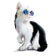 Vaikiškas interjero lipdukas Katinas su akiniais
