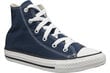 Vaikiški kedai Converse C. Taylor All Star Youth Hi Jr 3J233C, 56583 цена и информация | Sportiniai batai vaikams | pigu.lt