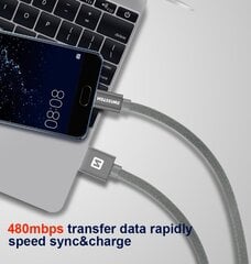 Swissten Textile Универсальный Quick Charge 3.1 USB-C USB Кабель данных 20 cм Золотой цена и информация | Кабели для телефонов | pigu.lt