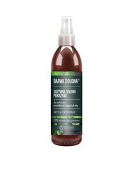 Purškiamas plaukų kondicionierius Barwa Herbal Color 250 ml kaina ir informacija | Balzamai, kondicionieriai | pigu.lt