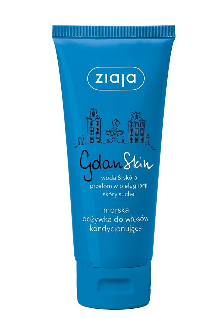 Plaukų kondicionierius sausiems plaukams Ziaja GdanSkin 100 ml цена и информация | Balzamai, kondicionieriai | pigu.lt