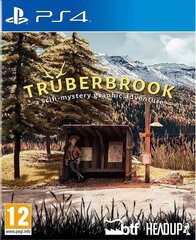 Trüberbrook, PS4 цена и информация | Компьютерные игры | pigu.lt