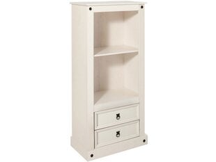 NUOTRAUKA Alfredo Bookcase 2 Doors -White/lacquer kaina ir informacija | Lentynos | pigu.lt