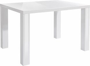 Стол Snow 120, белый цена и информация | Кухонные и обеденные столы | pigu.lt