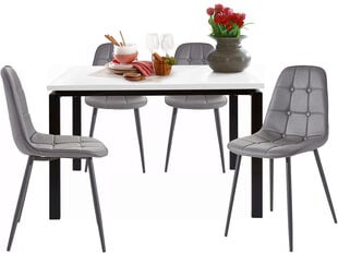 Комплект мебели для столовой Notio Living Silva 120/Lina, серый цена и информация | Комплекты мебели для столовой | pigu.lt