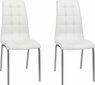2-jų kėdžių komplektas Anima, baltas kaina ir informacija | Virtuvės ir valgomojo kėdės | pigu.lt