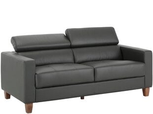 Трехместный диван Notio Living Lopez GL/PU, серый цена и информация | Диваны | pigu.lt