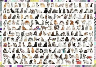 Dėlionė Trefl 208 Cats, 1000 d. kaina ir informacija | Dėlionės (puzzle) | pigu.lt