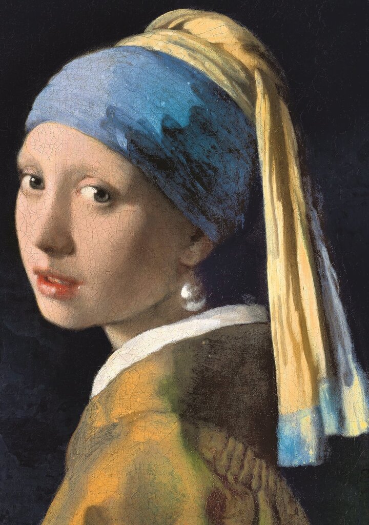 Dėlionė Trefl Vermeer, 1000 d. kaina ir informacija | Dėlionės (puzzle) | pigu.lt
