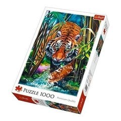 Dėlionė Trefl Tiger, 1000 d. kaina ir informacija | Dėlionės (puzzle) | pigu.lt