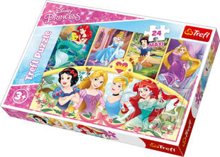 Dėlionė Maxi Trefl Princesės 24 d. kaina ir informacija | Dėlionės (puzzle) | pigu.lt