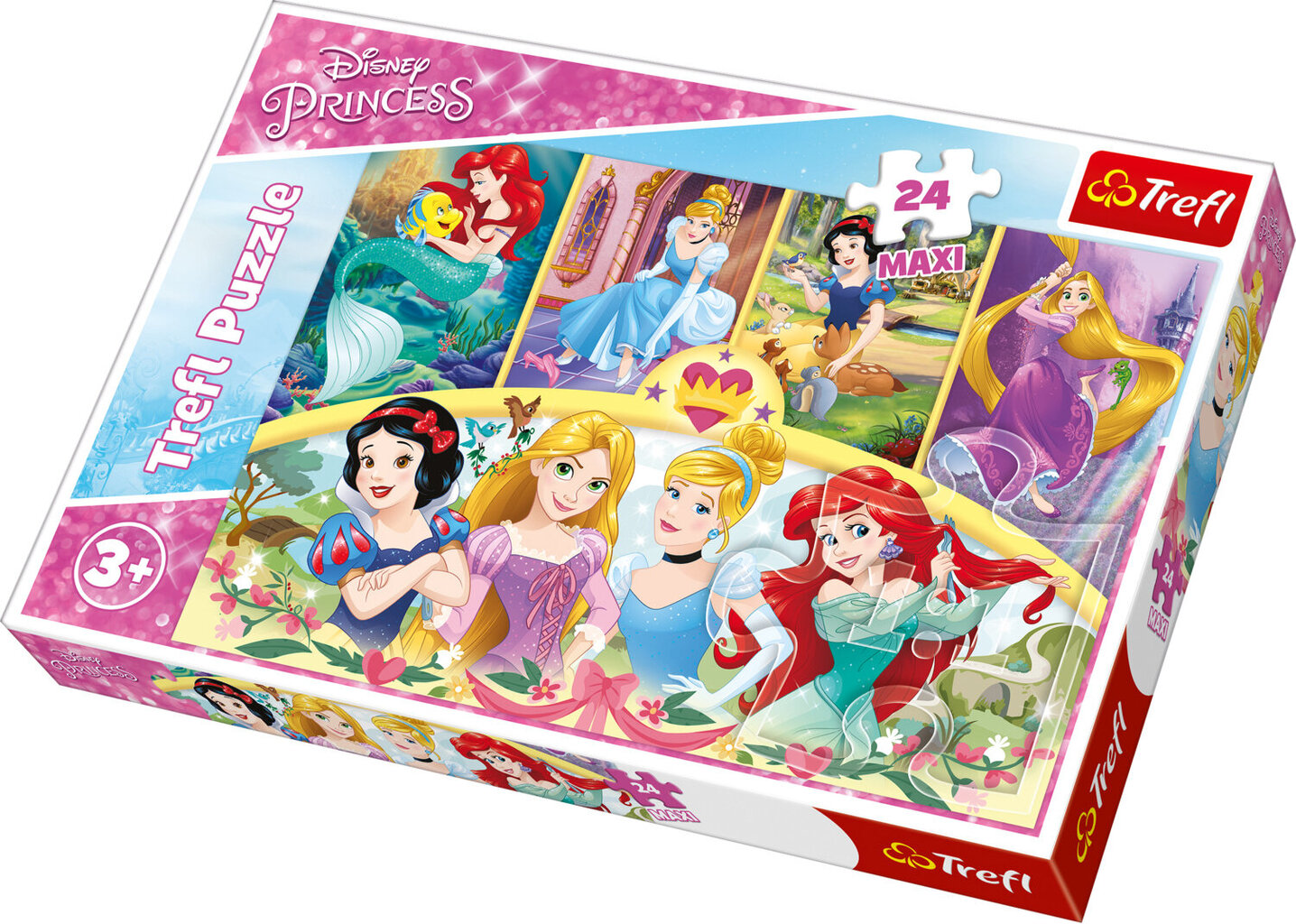 Dėlionė Maxi Trefl Princesės 24 d. kaina ir informacija | Dėlionės (puzzle) | pigu.lt