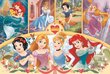 Dėlionė Maxi Trefl Princesės 24 d. kaina ir informacija | Dėlionės (puzzle) | pigu.lt