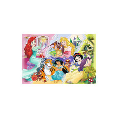 Dėlionė Trefl Princess and Friends, 160 d. kaina ir informacija | Dėlionės (puzzle) | pigu.lt