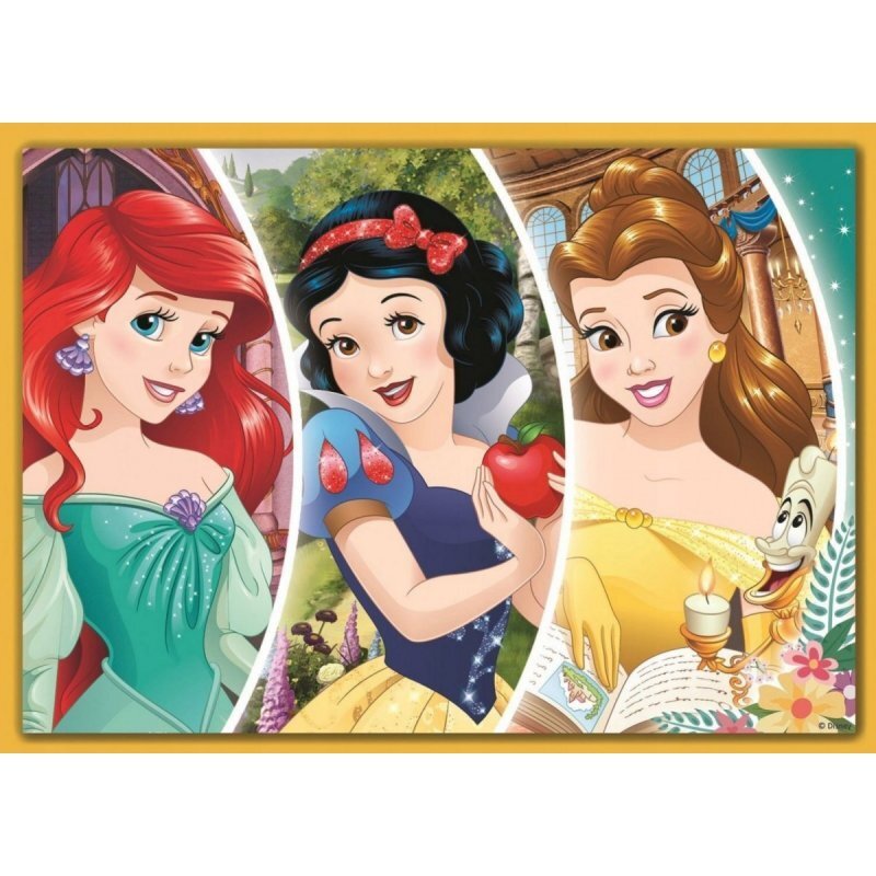 Dėlionių rinkinys Trefl 4 in 1 Disney Princess, 70+54+48+35 kaina ir informacija | Dėlionės (puzzle) | pigu.lt