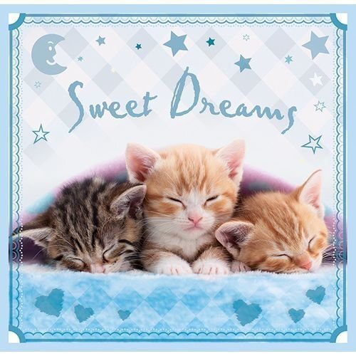 Dėlionių rinkinys Trefl 3 in 1 Sweet Kittens, 20+36+50 kaina ir informacija | Dėlionės (puzzle) | pigu.lt