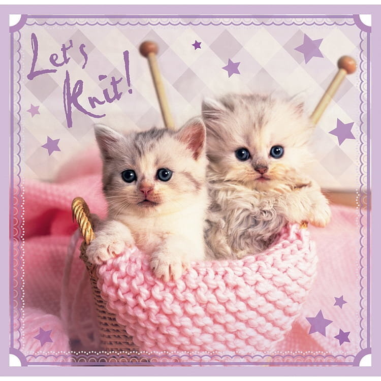 Dėlionių rinkinys Trefl 3 in 1 Sweet Kittens, 20+36+50 kaina ir informacija | Dėlionės (puzzle) | pigu.lt