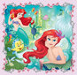 Dėlionių rinkinys Trefl 3 in 1 Disney Princess, 20+50+36 kaina ir informacija | Dėlionės (puzzle) | pigu.lt