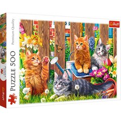 Головоломка Trefl Kittens In The Garden, 500 d. цена и информация | Пазлы | pigu.lt