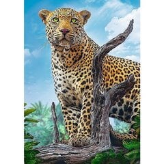 Dėlionė Trefl Wild Leopard, 500 d. kaina ir informacija | Dėlionės (puzzle) | pigu.lt