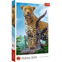 Dėlionė Trefl Wild Leopard, 500 d. kaina ir informacija | Dėlionės (puzzle) | pigu.lt