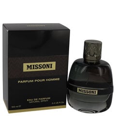 Спрей-вода Missoni Pour Homme, 100 мл цена и информация | Женские духи | pigu.lt