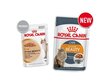 Royal Canin Intense Beauty in Gravy Pouch 1x85 g kaina ir informacija | Konservai katėms | pigu.lt