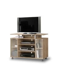 TV staliukas Forte RTV Rack RAT338-D30, rudos spalvos цена и информация | Тумбы под телевизор | pigu.lt