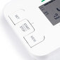 Elektroninis kraujospūdžio matuoklis USB OROMED ORO N4 CLASSIC kaina ir informacija | Kraujospūdžio matuokliai | pigu.lt