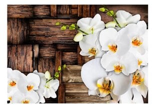 Fototapetai - Žydinčios orchidėjos kaina ir informacija | Fototapetai | pigu.lt