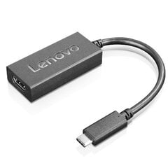 Lenovo 4X90R61022 цена и информация | Адаптеры, USB-разветвители | pigu.lt