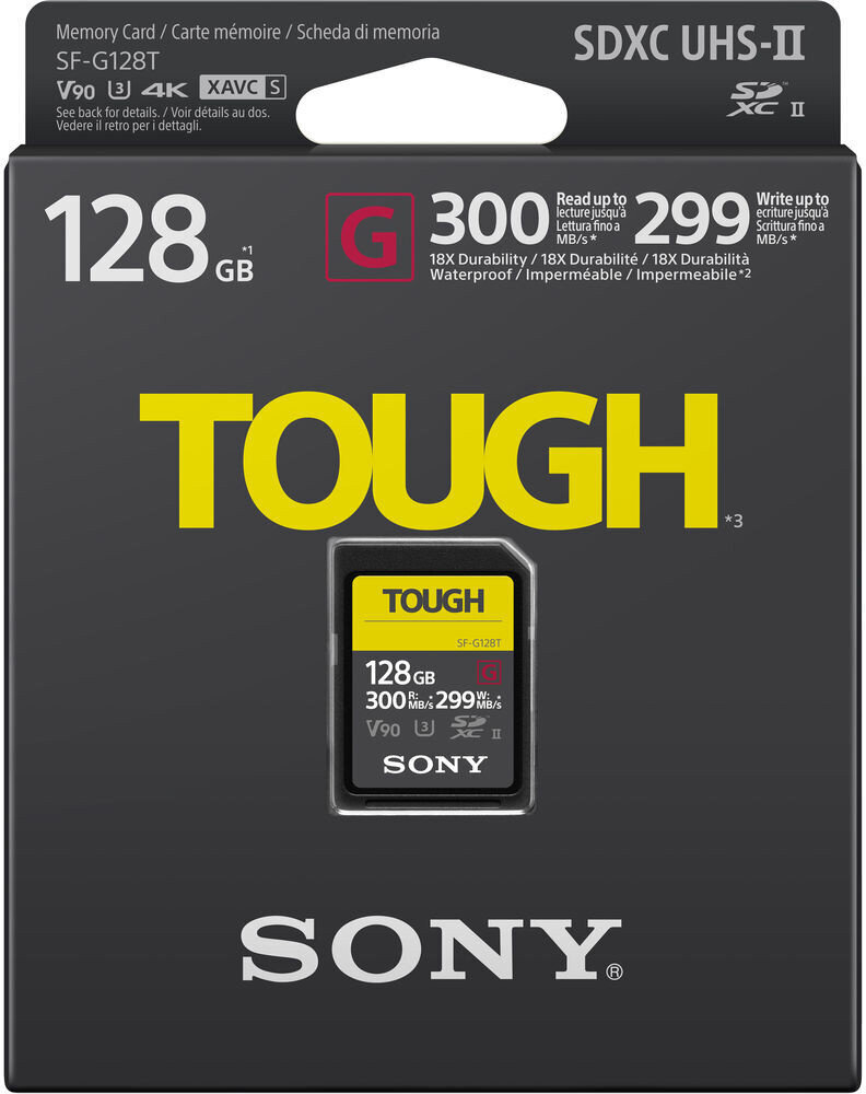 Atminties kortelė Sony SFG1TG, 128 GB kaina ir informacija | Atminties kortelės telefonams | pigu.lt