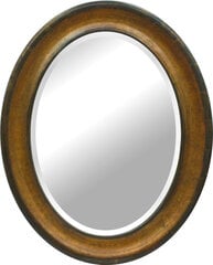 Зеркало Carpi, 99x79 см, золото / коричневый цена и информация | Зеркала | pigu.lt