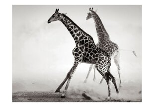 Fototapetai - Žirafos kaina ir informacija | Fototapetai | pigu.lt