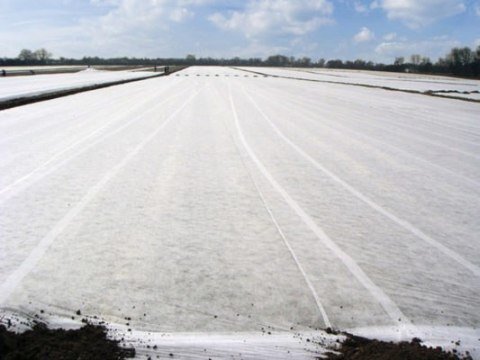 Agroplevelė apsauginė nuo šalnų 1.6 x10 m kaina ir informacija | Sodo įrankiai | pigu.lt