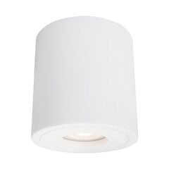 Light Prestige потолочный светильник Faro XXL цена и информация | Потолочные светильники | pigu.lt