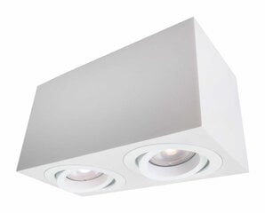 Light Prestige потолочный светильник Lyon 2 цена и информация | Потолочные светильники | pigu.lt