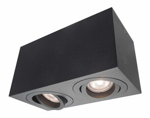 Light Prestige потолочный светильник Lyon 2 цена и информация | Потолочные светильники | pigu.lt