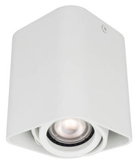 Light Prestige потолочный светильник Merano 1 цена и информация | Потолочные светильники | pigu.lt