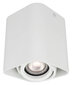 Light Prestige lubinis šviestuvas Merano 1 kaina ir informacija | Lubiniai šviestuvai | pigu.lt