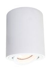 Light Prestige потолочный светильник Tulon цена и информация | Потолочные светильники | pigu.lt
