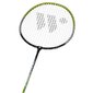Badmintono rakečių ir skrajukų rinkinys Wish Alumtec 216k, žalias kaina ir informacija | Badmintonas | pigu.lt
