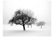 Fototapetai - Žiema, medžiai цена и информация | Fototapetai | pigu.lt